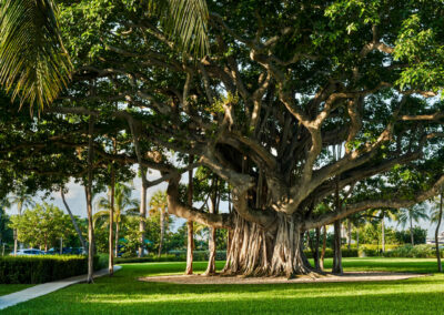 West Palm Beach Park